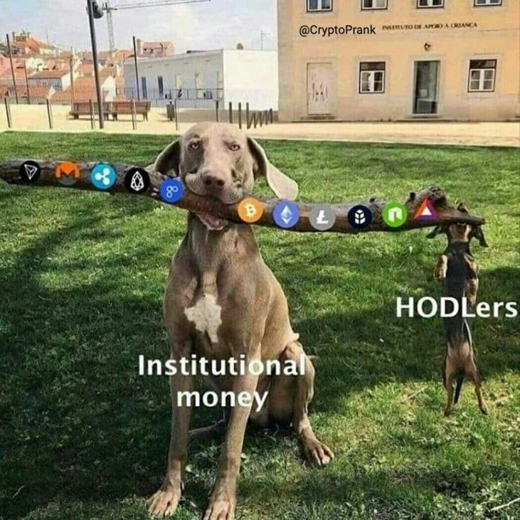 Что угодно, но не шиткоины или Как накопить на ламбу и дракона