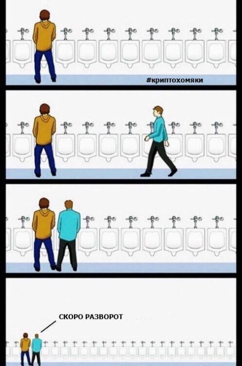 Что угодно, но не шиткоины или Как накопить на ламбу и дракона