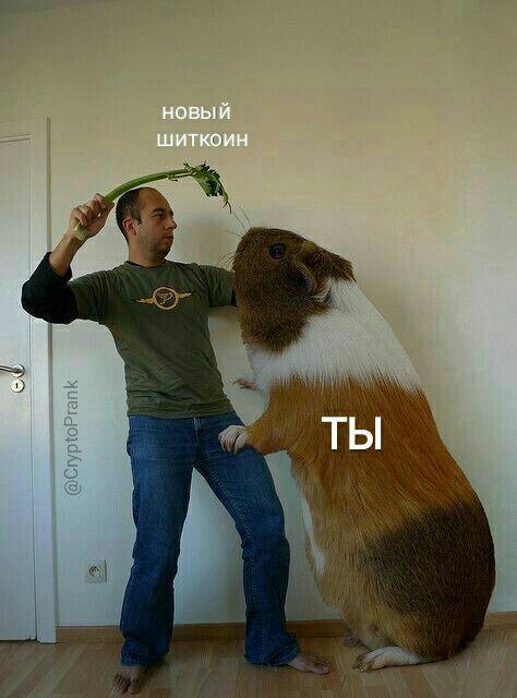 Что угодно, но не шиткоины или Как накопить на ламбу и дракона