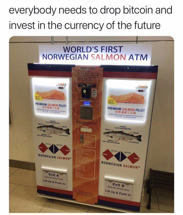 Возвращение блудного туземуна: биткоин взлетел до $5000 и наше настроение тоже