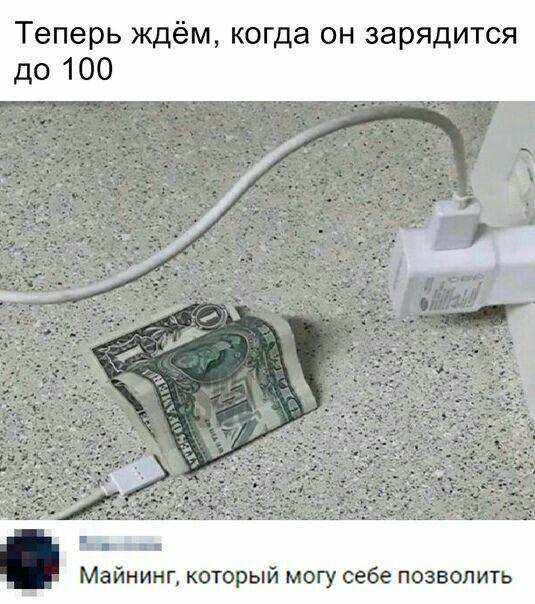 Хомячий экстаз: сколько биткоинов сможешь унести ты?