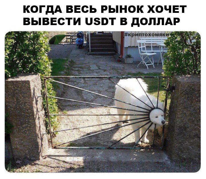 Хомячий экстаз: сколько биткоинов сможешь унести ты?