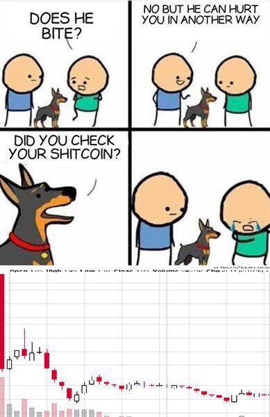 Хомячий экстаз: сколько биткоинов сможешь унести ты?