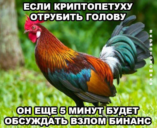 Бинансы поют романсы: мемы на случай, когда funds are not safu