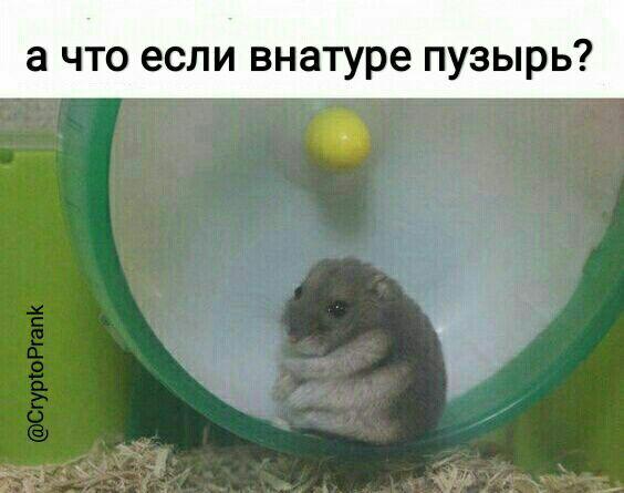 А что если в натуре пузырь? Владельцы биткоина выбирают неврологическое отделение