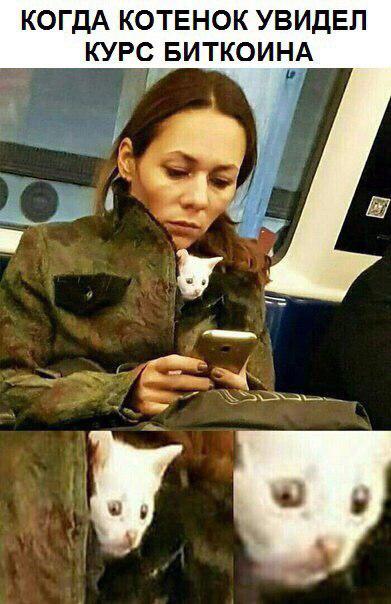 А что если в натуре пузырь? Владельцы биткоина выбирают неврологическое отделение