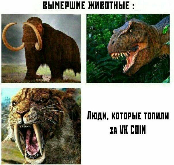 Откровенно плохие мемы: твой внутренний Крейг Райт будет рад