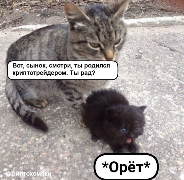 Злоключения трейдера Монеткина: ностальгические мемы про ушедший 2019 год