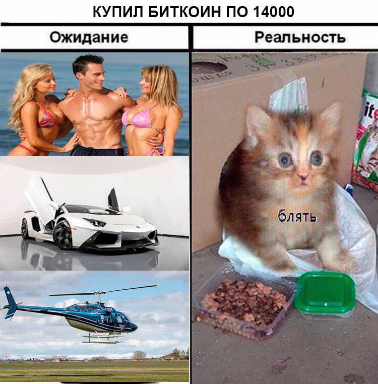 Сейчас рипл вырастет и расплатимся: назойливые альты и памп во время сна