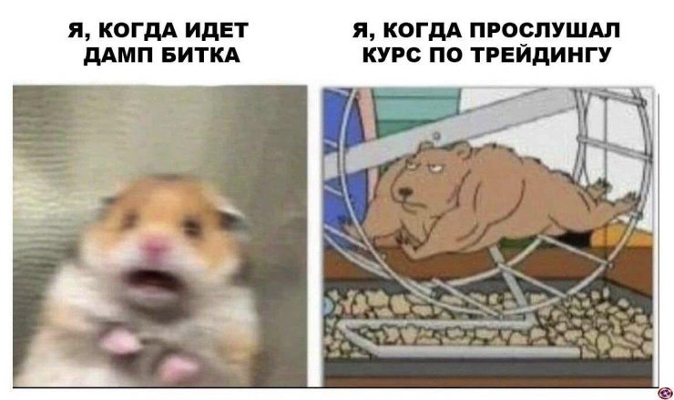 FaceApp доллара и мешки с альткоинами внутри Джастина Сана
