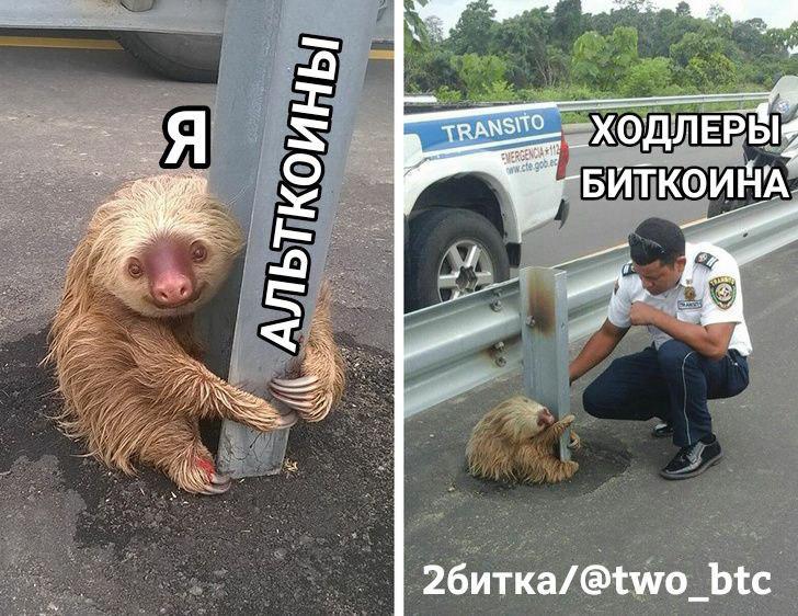 Криптоанархисты не взрослеют: душераздирающие истории под звуки подавленной паники