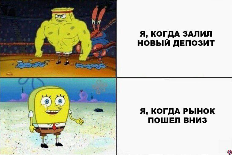 Криптоанархисты не взрослеют: душераздирающие истории под звуки подавленной паники