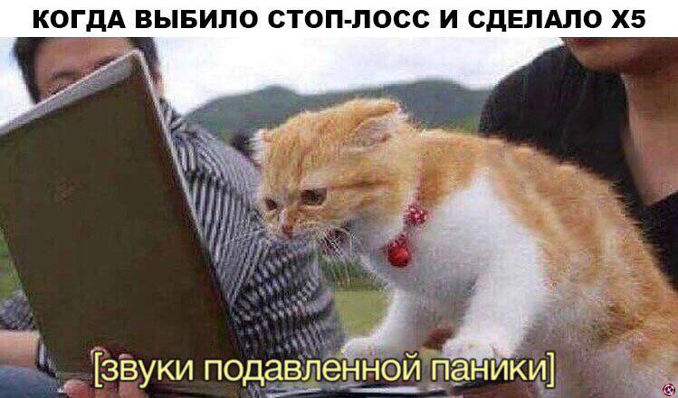 Криптоанархисты не взрослеют: душераздирающие истории под звуки подавленной паники