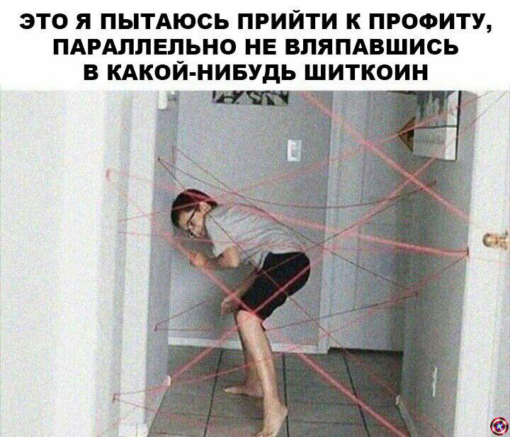 Как не ссать против тренда: советы бывалых