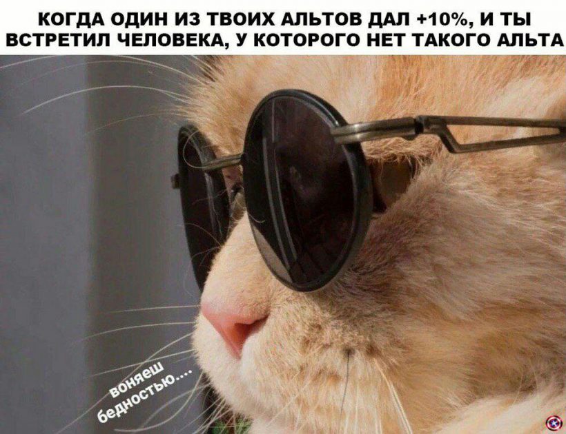 Как не ссать против тренда: советы бывалых