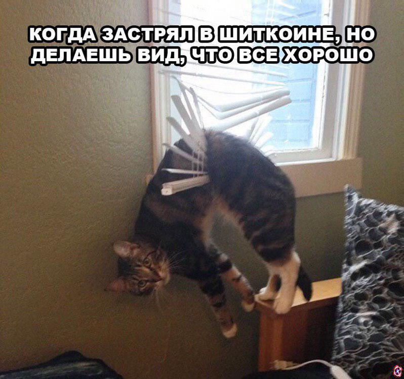 Как не ссать против тренда: советы бывалых