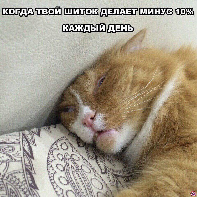 Как не ссать против тренда: советы бывалых