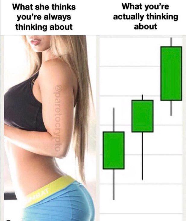 Усредняемся с помощью бытовой техники: слишком правдивые мемы для держателей альткоинов