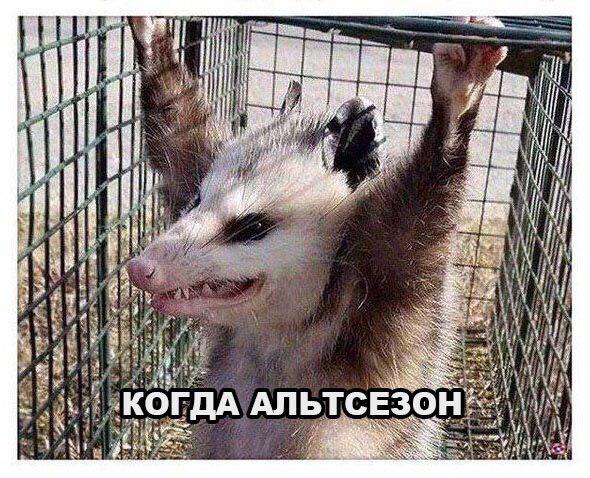 Усредняемся с помощью бытовой техники: слишком правдивые мемы для держателей альткоинов