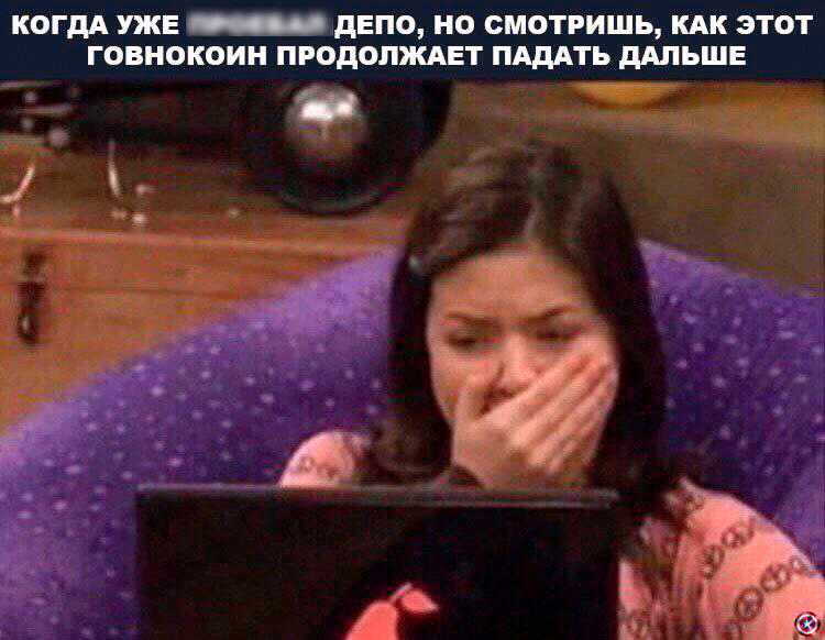 Усредняемся с помощью бытовой техники: слишком правдивые мемы для держателей альткоинов
