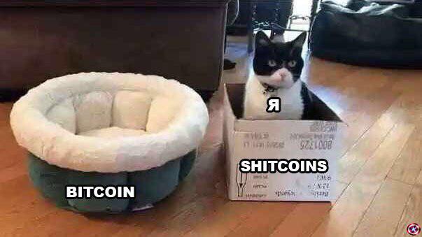 Усредняемся с помощью бытовой техники: слишком правдивые мемы для держателей альткоинов