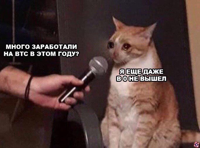 Усредняемся с помощью бытовой техники: слишком правдивые мемы для держателей альткоинов