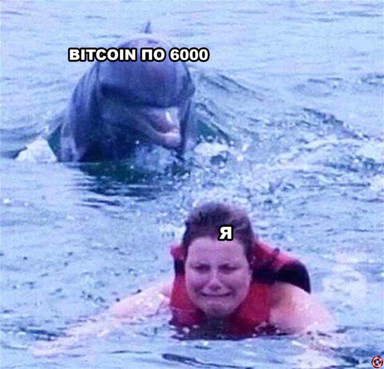 Усредняемся с помощью бытовой техники: слишком правдивые мемы для держателей альткоинов