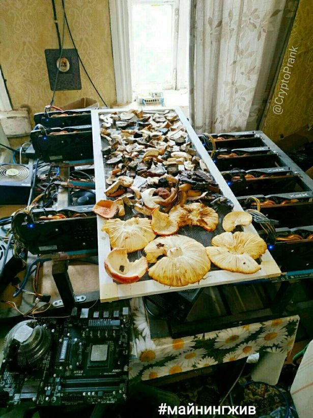 Я просто живу с этой болью: мемы о твоем биткоине