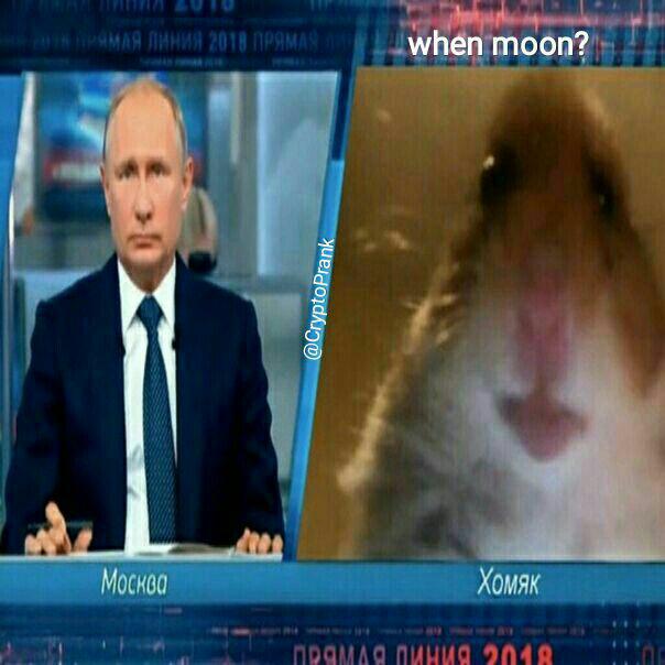 Я просто живу с этой болью: мемы о твоем биткоине