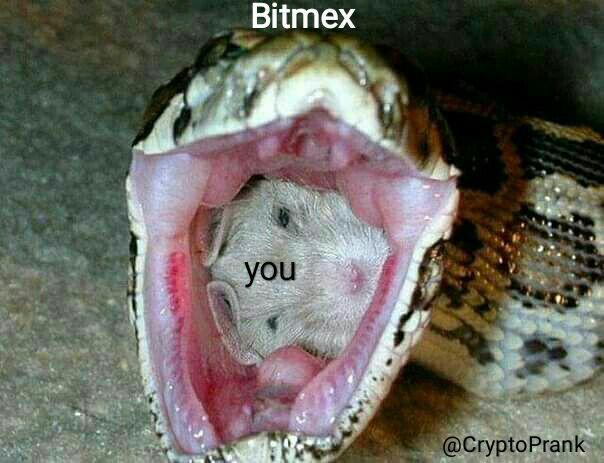 Я просто живу с этой болью: мемы о твоем биткоине