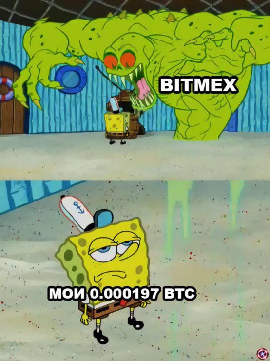 Клуб успешных людей: тут повсюду графики, падающий биткоин и нулевой профит