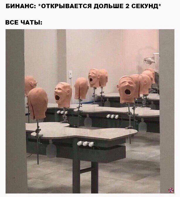 Клуб успешных людей: тут повсюду графики, падающий биткоин и нулевой профит