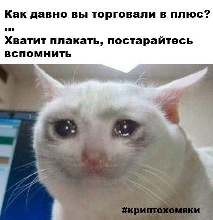 Клуб успешных людей: тут повсюду графики, падающий биткоин и нулевой профит