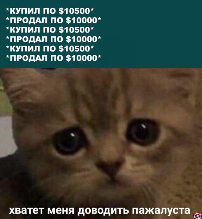 Клуб успешных людей: тут повсюду графики, падающий биткоин и нулевой профит