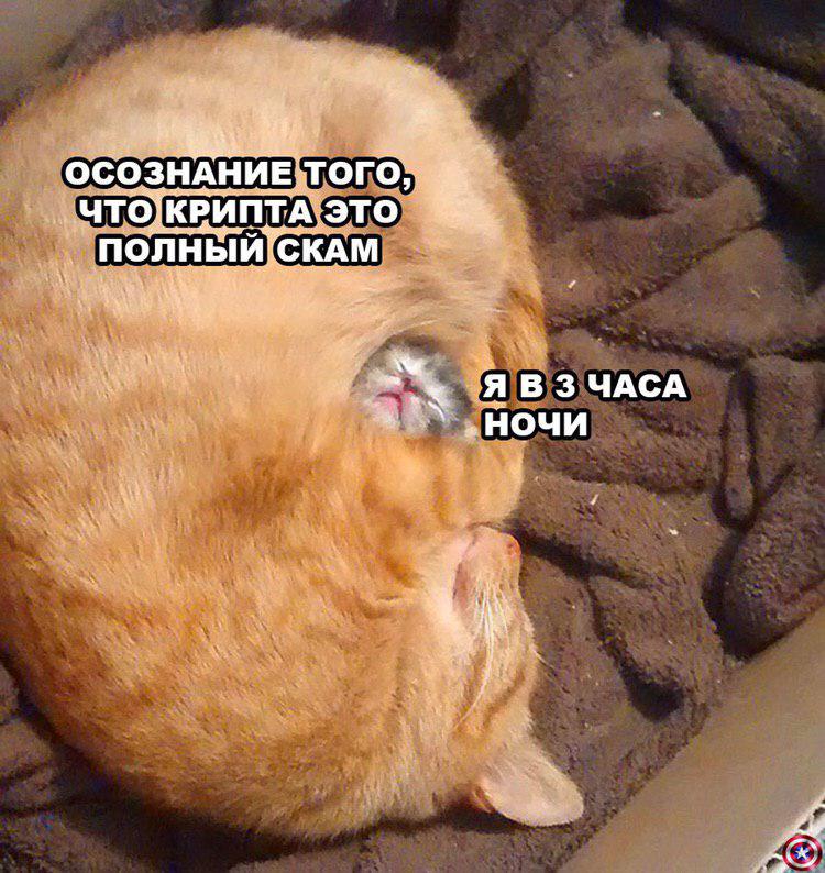 Клуб успешных людей: тут повсюду графики, падающий биткоин и нулевой профит