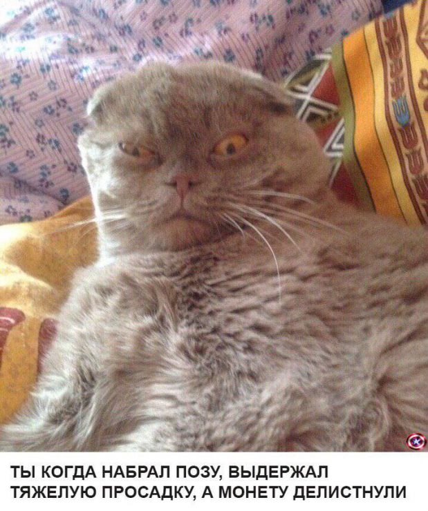 Клуб успешных людей: тут повсюду графики, падающий биткоин и нулевой профит