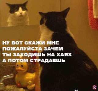 Клуб успешных людей: тут повсюду графики, падающий биткоин и нулевой профит