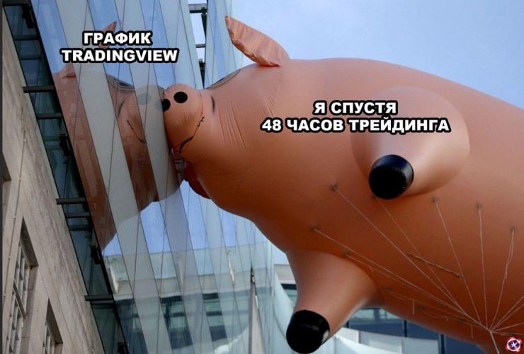 Клуб успешных людей: тут повсюду графики, падающий биткоин и нулевой профит