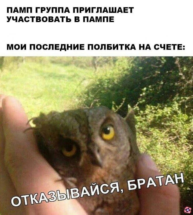 Настоящий детектив: от овертрейдинга до частушкотерапии