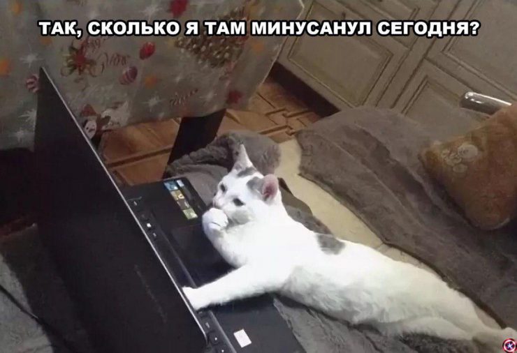 Настоящий детектив: от овертрейдинга до частушкотерапии