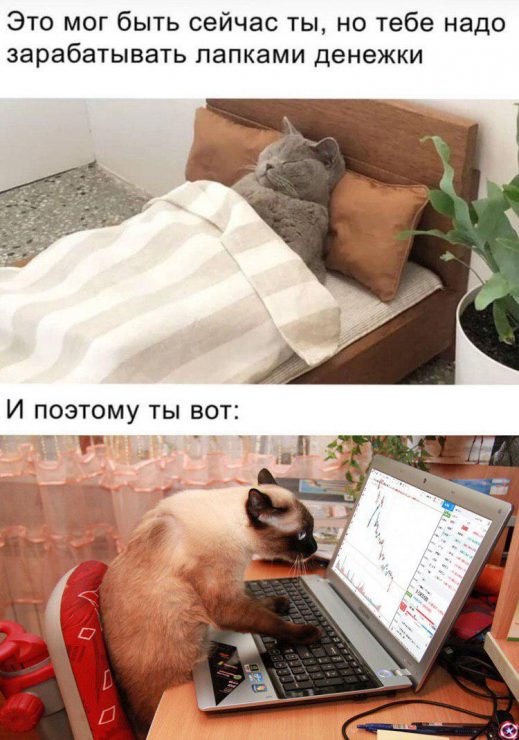 Настоящий детектив: от овертрейдинга до частушкотерапии