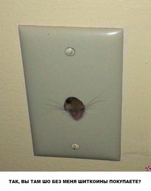 Настоящий детектив: от овертрейдинга до частушкотерапии