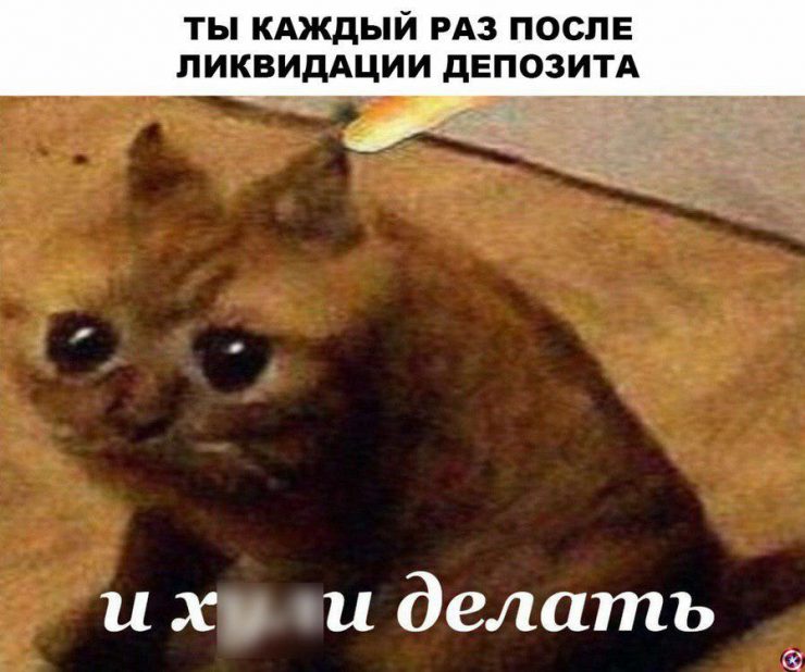 Злоключения трейдера Монеткина: ностальгические мемы про ушедший 2019 год