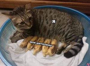 Настоящие страхи криптотрейдера: мем-версия