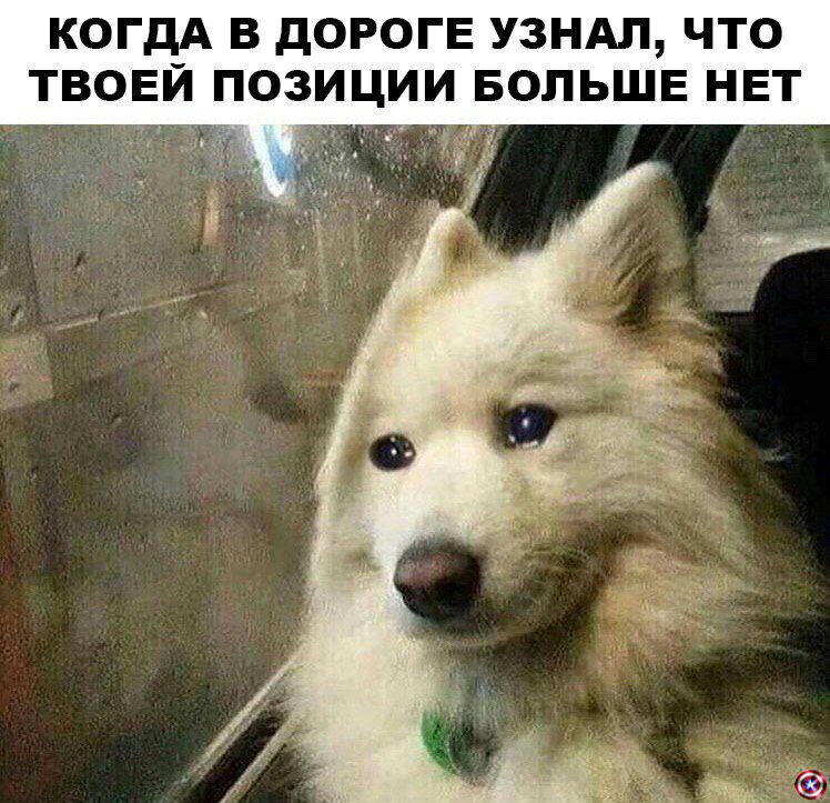 Лестница в REKT: биткоин больше нам не подконтролен