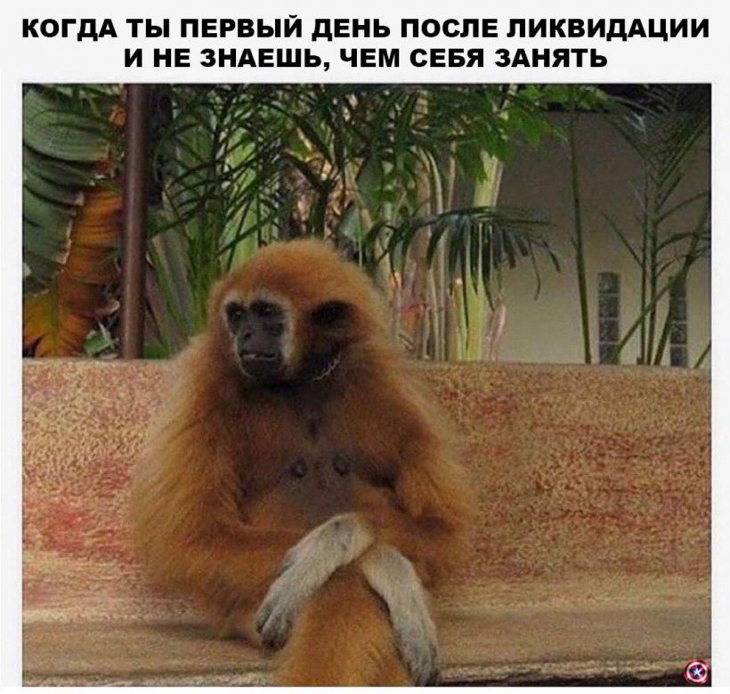 Лестница в REKT: биткоин больше нам не подконтролен