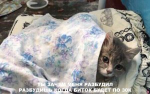 Эй, криптотрейдер, попахиваешь бедностью: мем-обзор недели