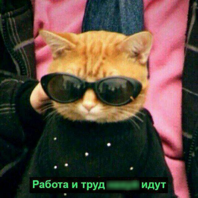 Ох уж эти сливы: биткоин летит вниз, депозит стремится к нулю