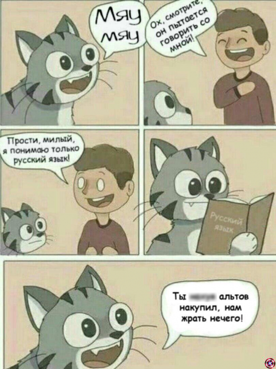 Ох уж эти сливы: биткоин летит вниз, депозит стремится к нулю