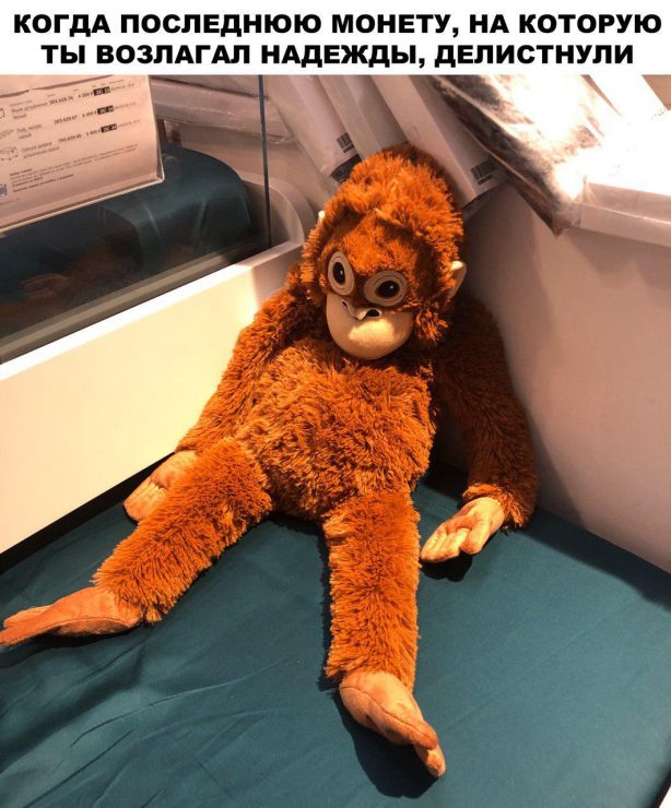 Ох уж эти сливы: биткоин летит вниз, депозит стремится к нулю